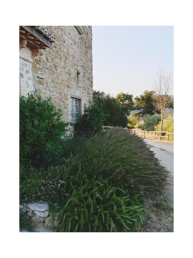 Podere Paradiso Villa Magione Dış mekan fotoğraf