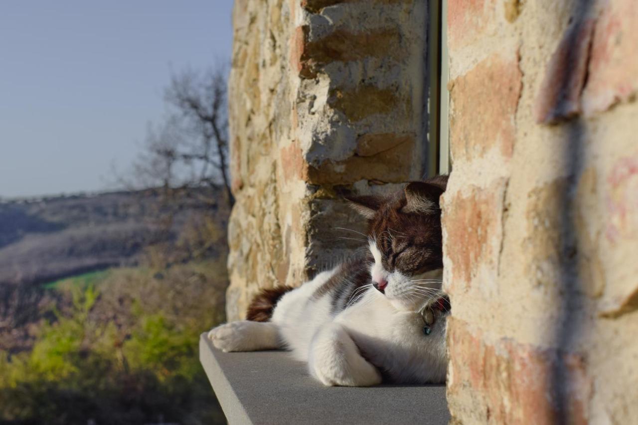 Podere Paradiso Villa Magione Dış mekan fotoğraf