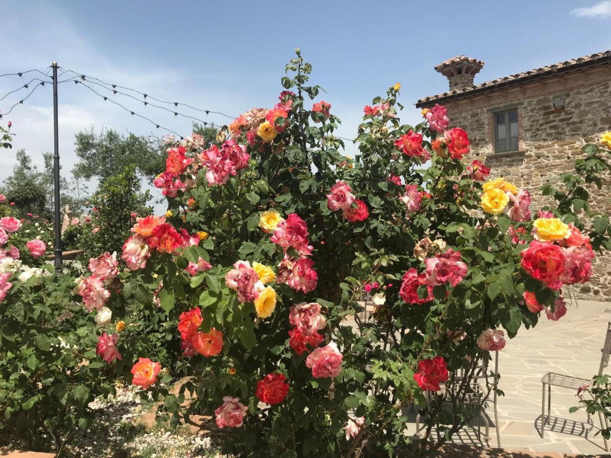 Podere Paradiso Villa Magione Dış mekan fotoğraf