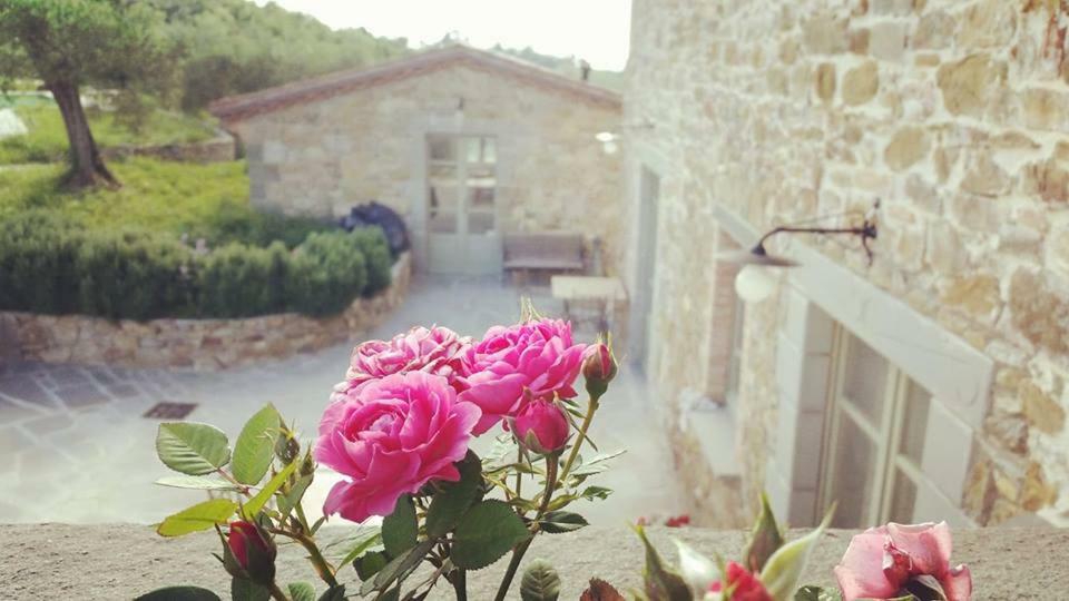 Podere Paradiso Villa Magione Dış mekan fotoğraf